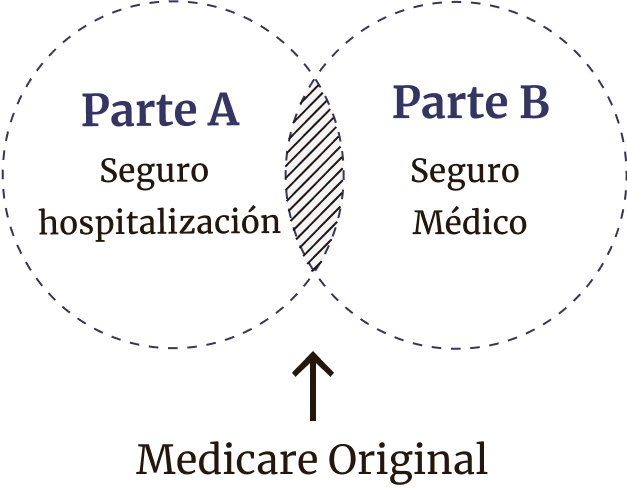 Grafica Medicare Parte A y B